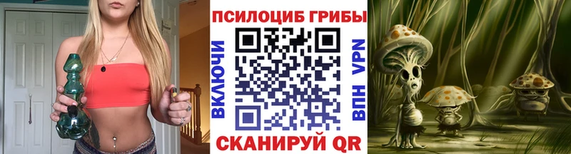 купить наркотик  Нижние Серги  Галлюциногенные грибы мицелий 